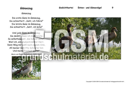 Gänsezug-Ebner-Eschenbach.pdf